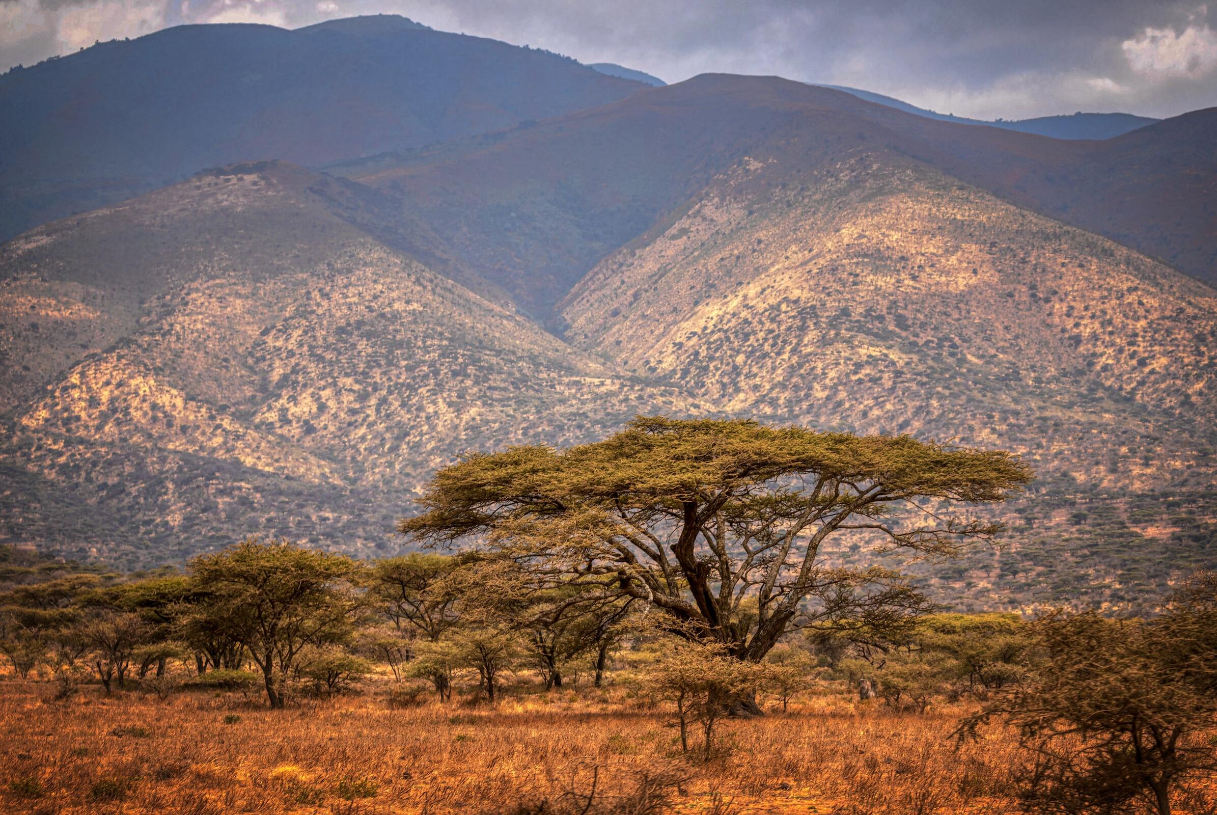 landscape4